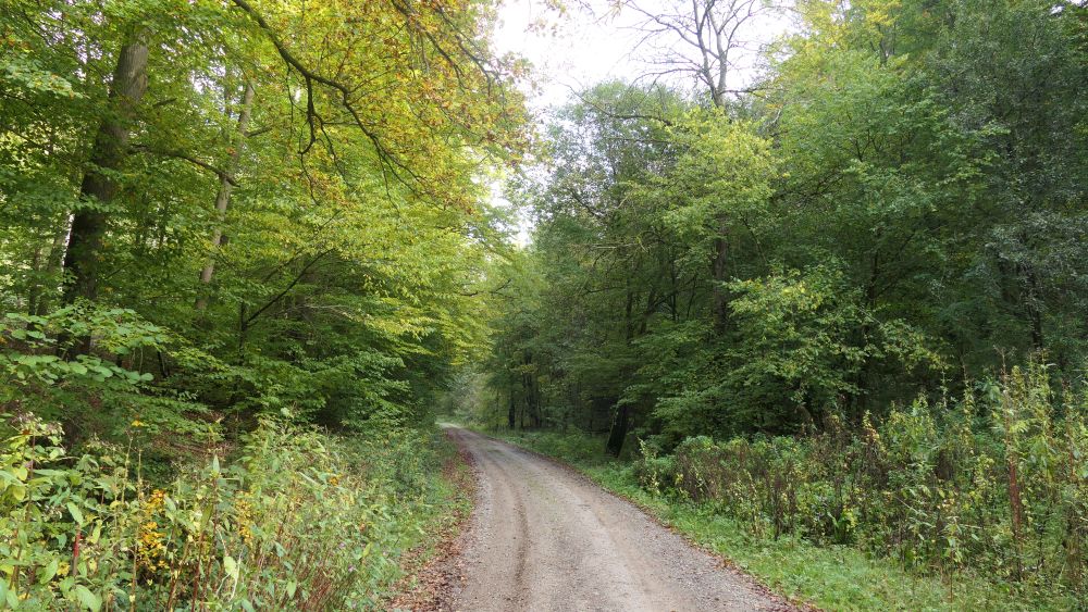 Weserberglandweg