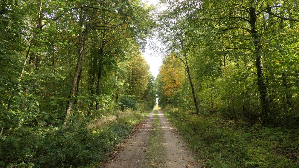 Weserberglandweg