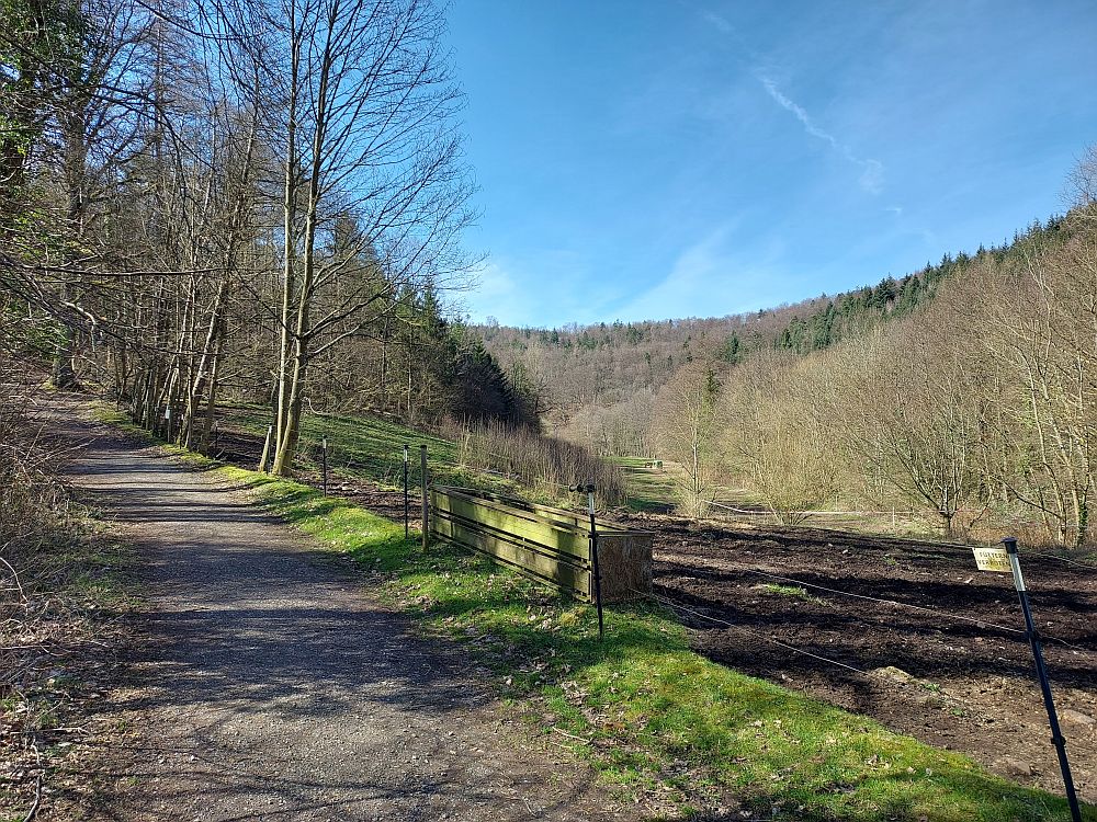 Westweg