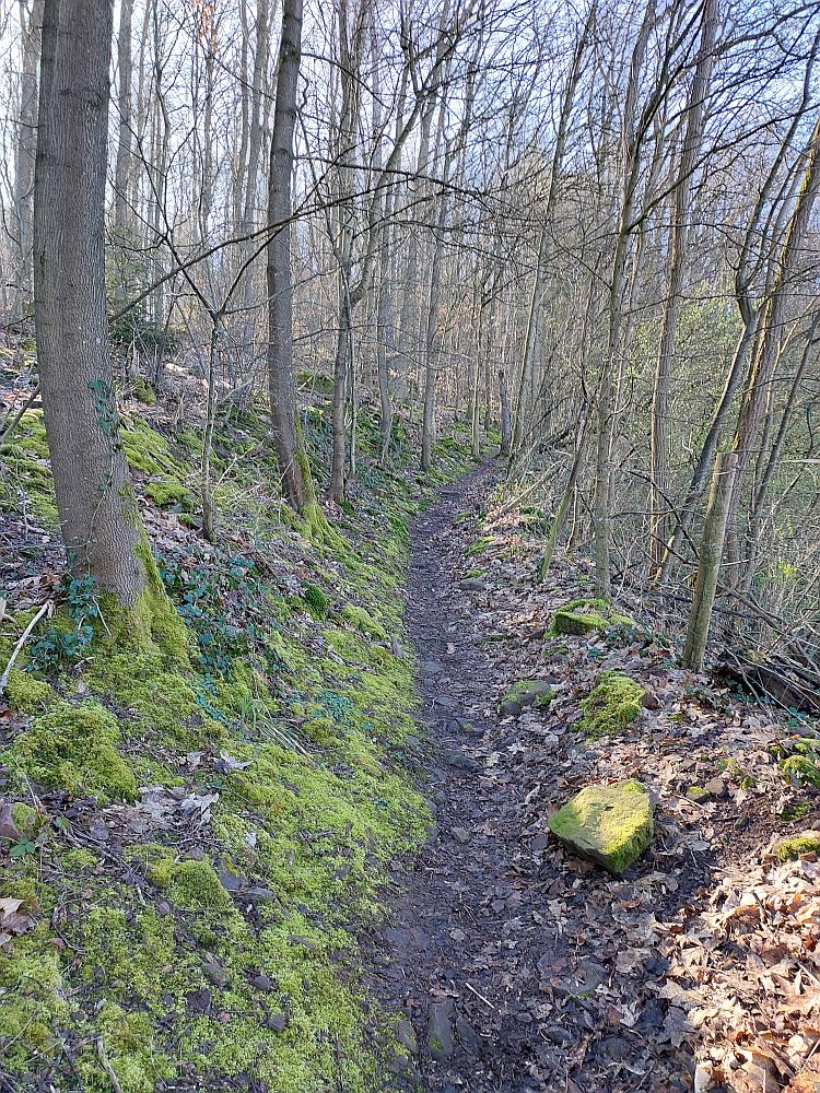 Westweg