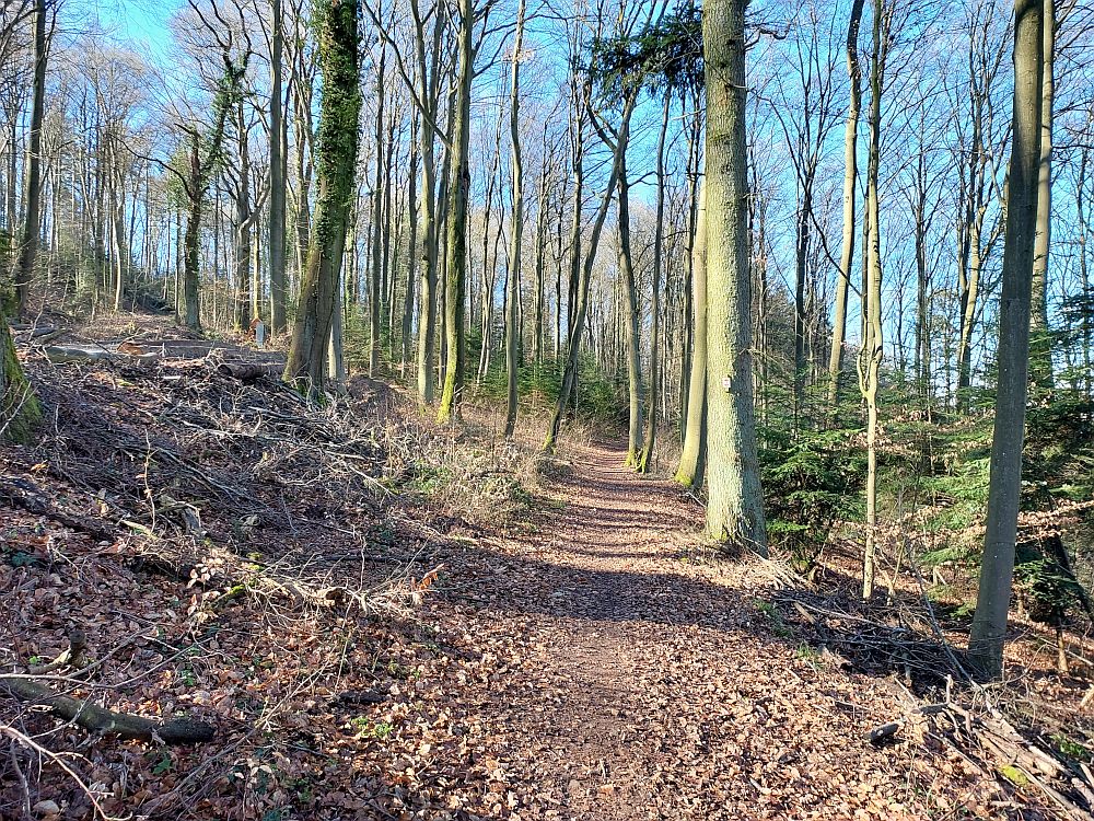 Westweg