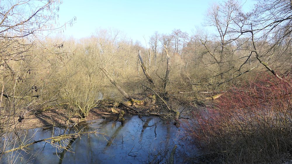 Westfalenwanderweg