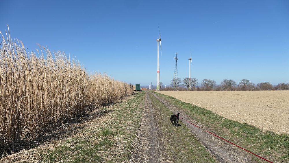 Westfalenwanderweg