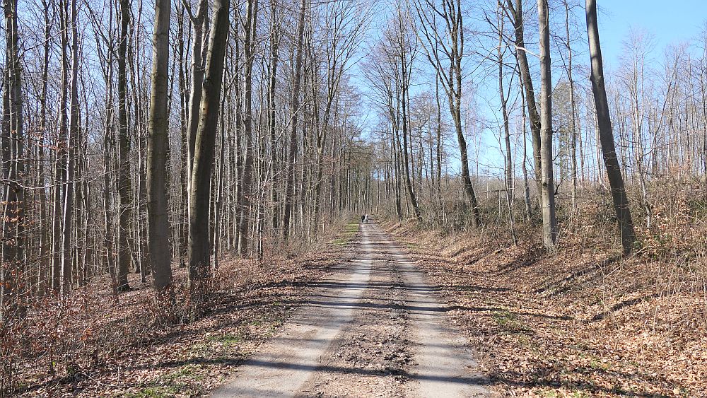 Westfalenwanderweg
