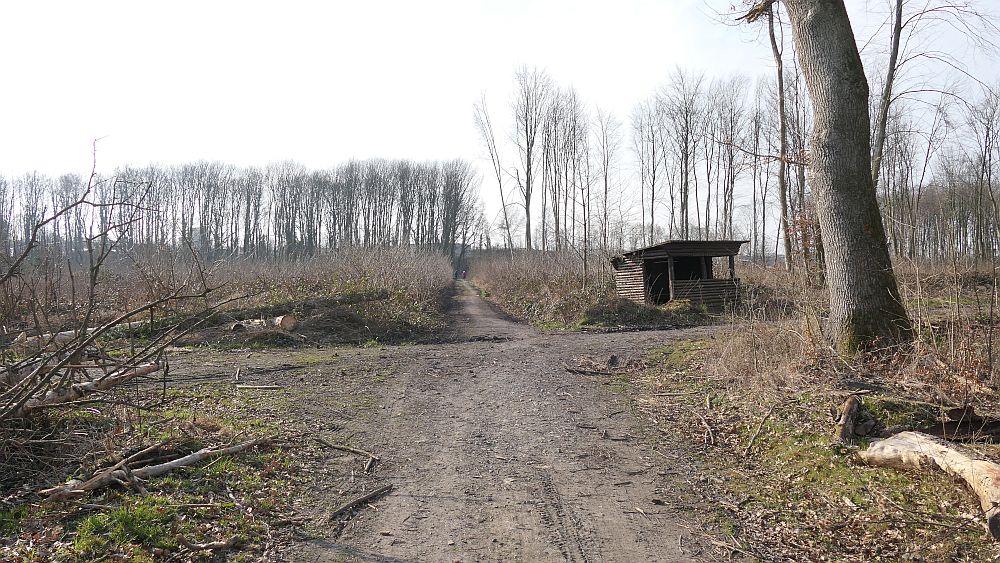 Westfalenwanderweg