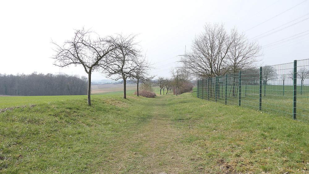 Westfalenwanderweg