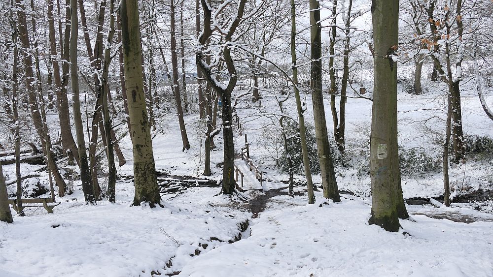 Westfalenwanderweg