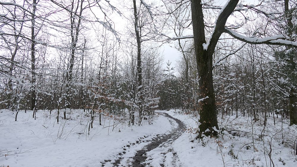 Westfalenwanderweg