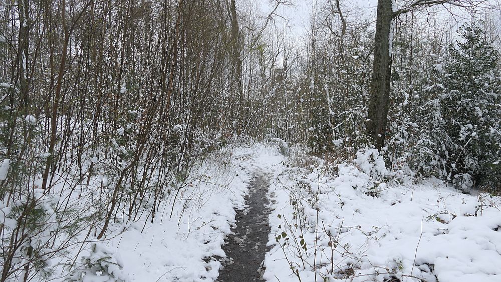 Westfalenwanderweg