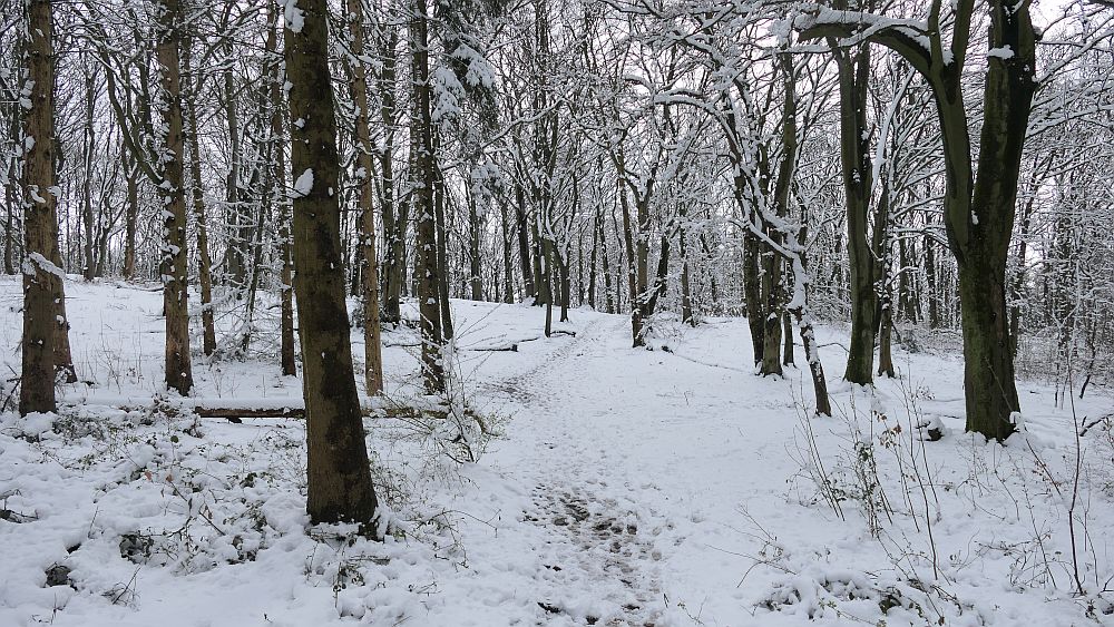 Westfalenwanderweg