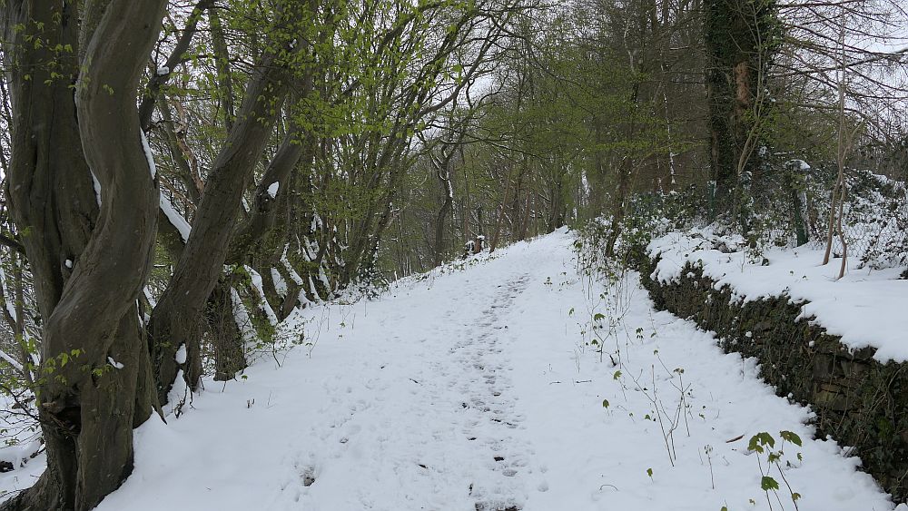 Westfalenwanderweg
