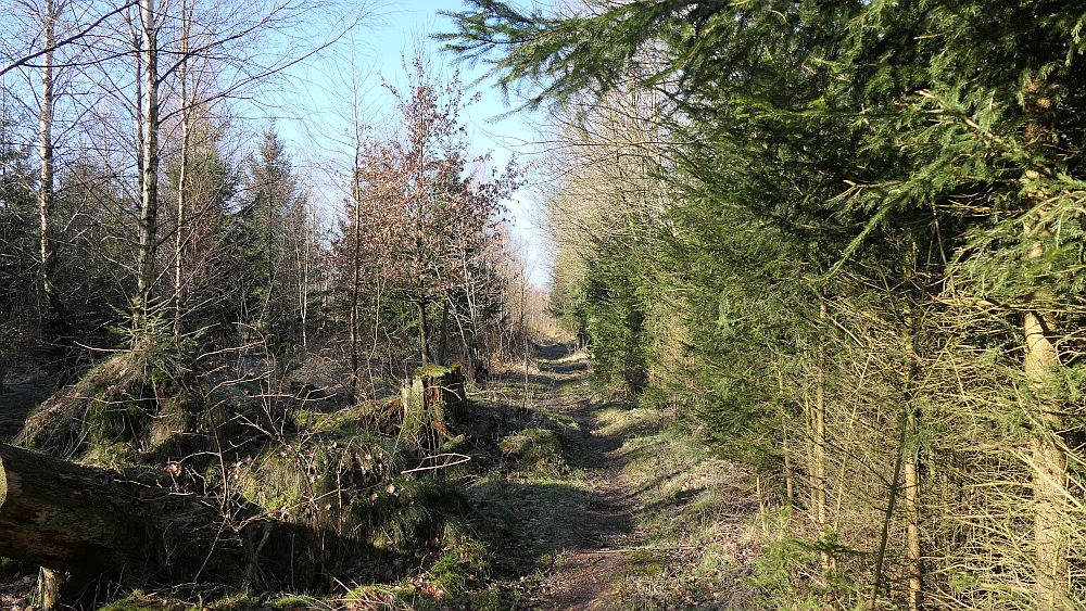 Westfalenwanderweg