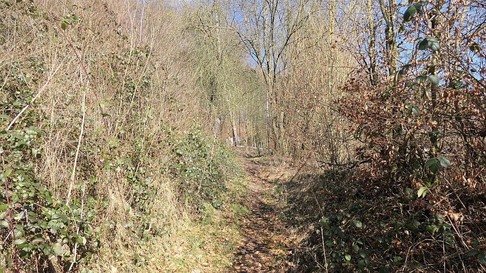 Westfalenwanderweg