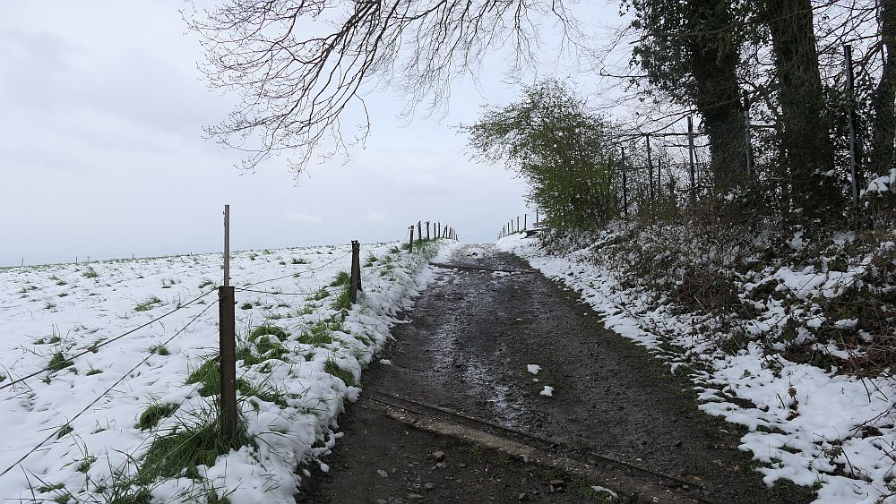 Westfalenwanderweg