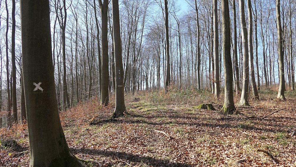 Westfalenwanderweg