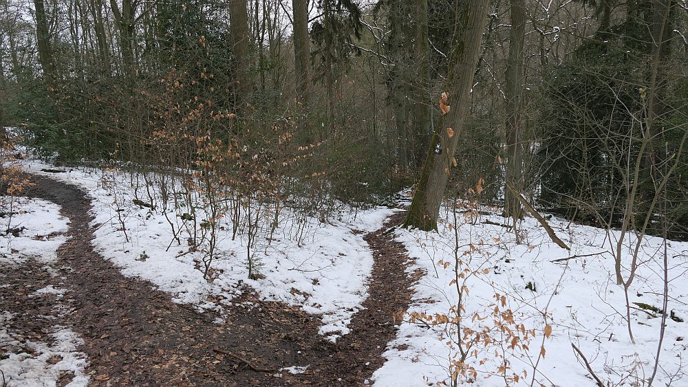 Westfalenwanderweg