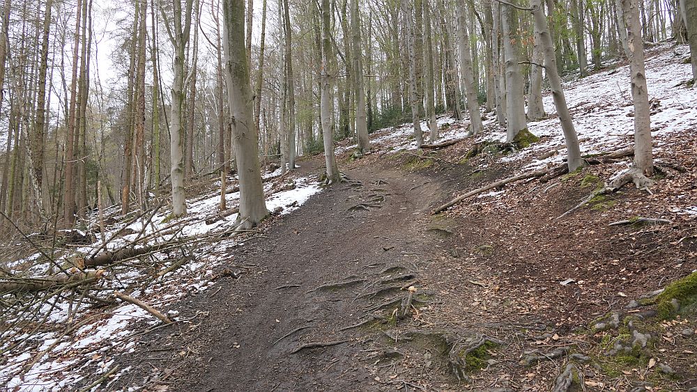 Westfalenwanderweg