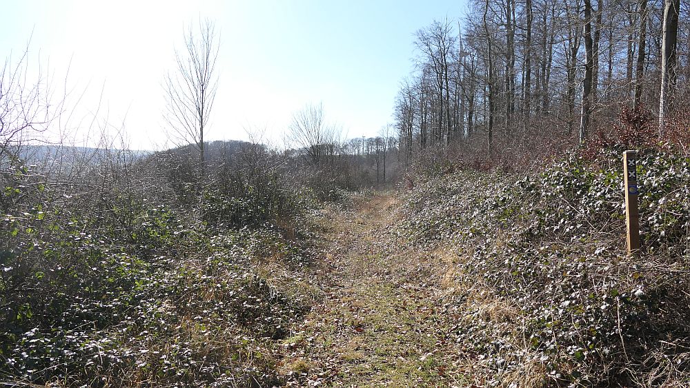 Westfalenwanderweg