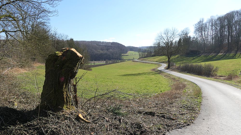 Westfalenwanderweg