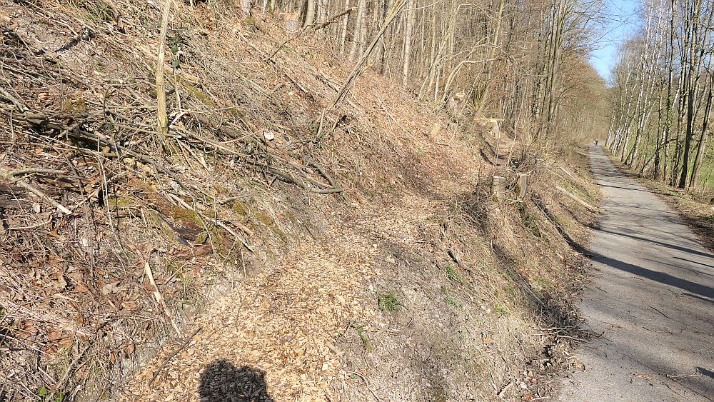 Westfalenwanderweg