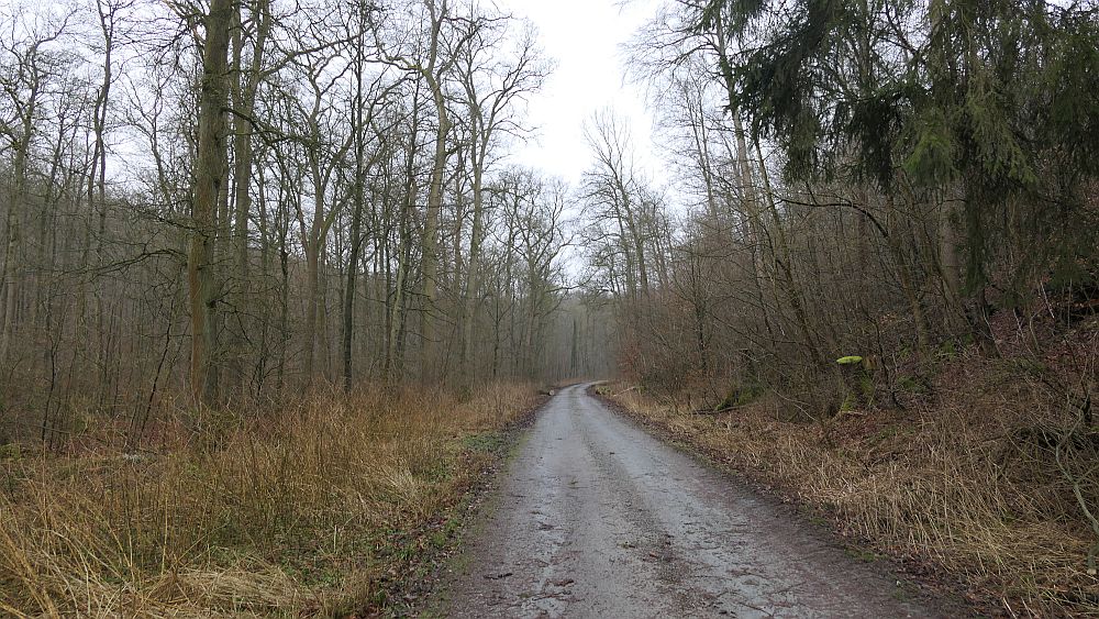 Westfalenwanderweg