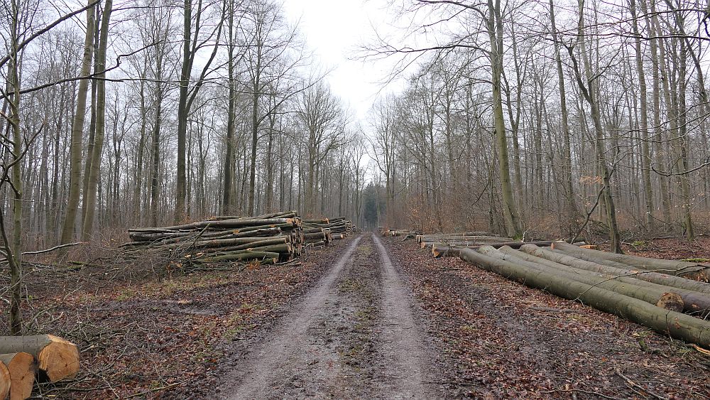 Westfalenwanderweg