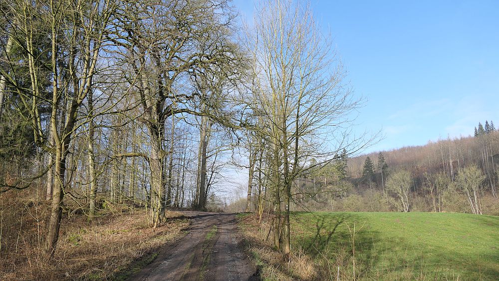 Westfalenwanderweg
