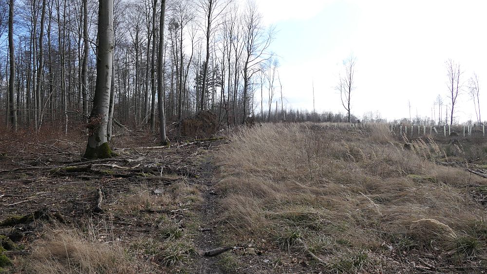 Westfalenwanderweg