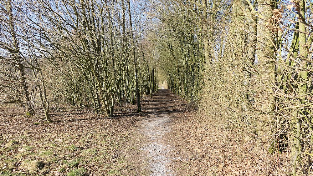 Westfalenwanderweg