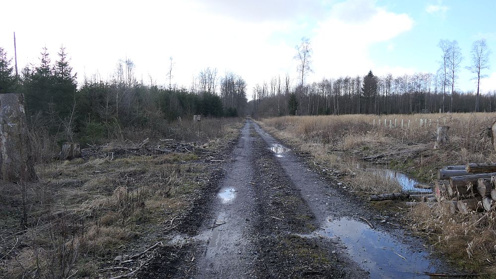 Westfalenwanderweg
