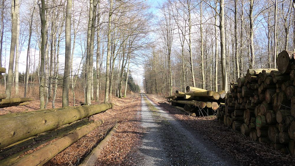 Westfalenwanderweg