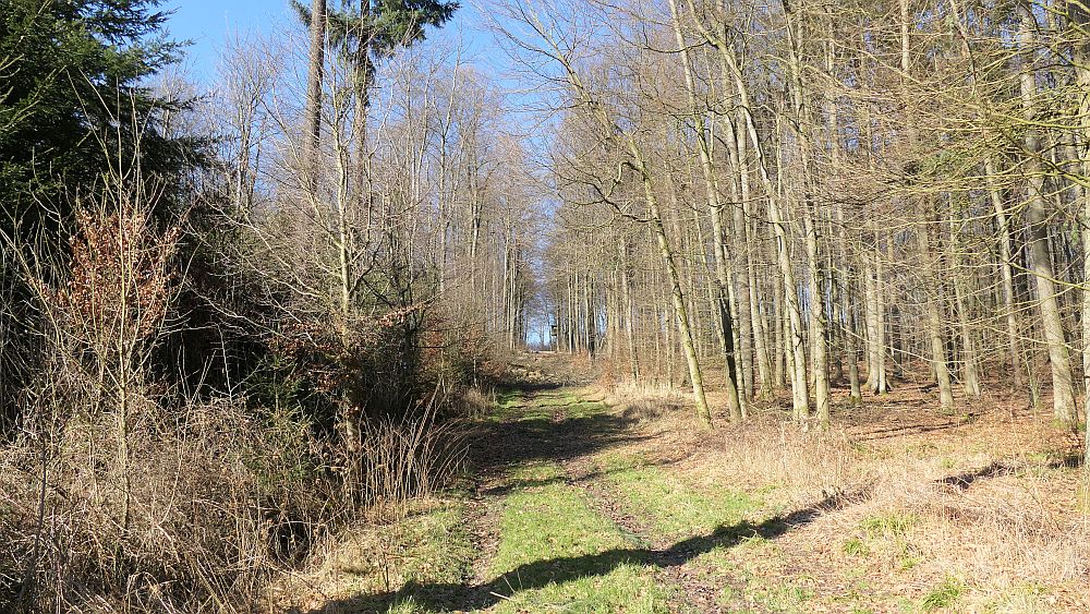 Westfalenwanderweg