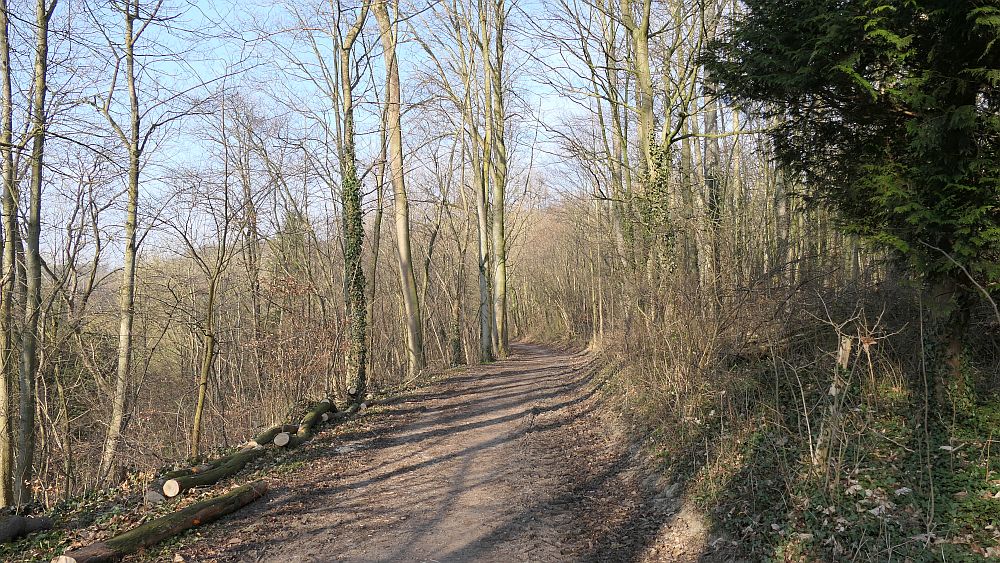 Westfalenwanderweg