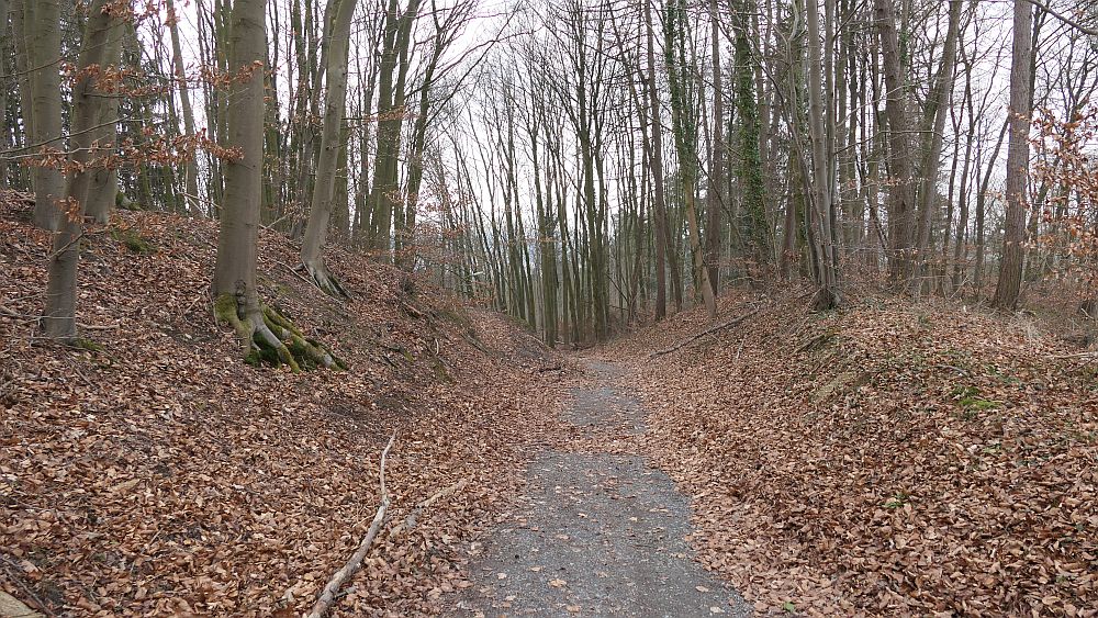 Westfalenwanderweg