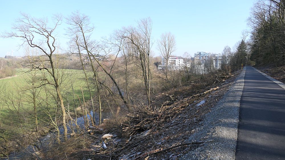 Westfalenwanderweg