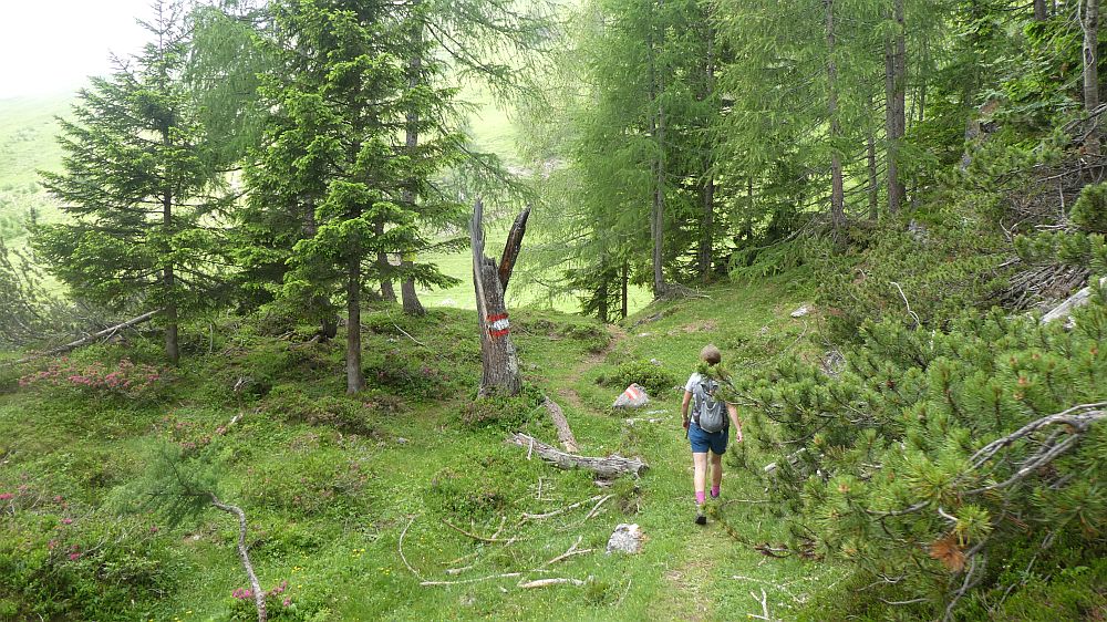 Zabarot-Jägersteig