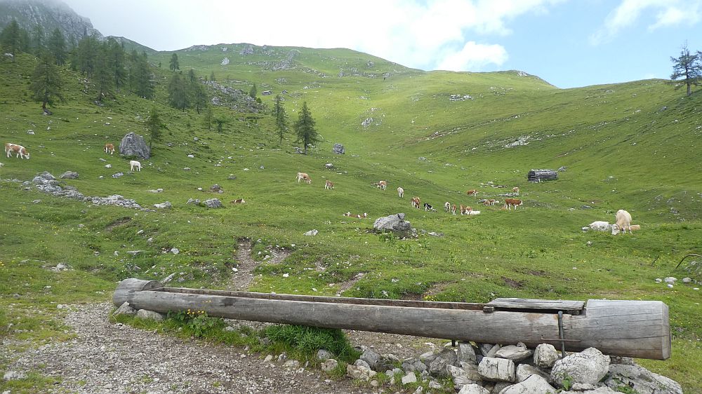Zabarot-Jägersteig
