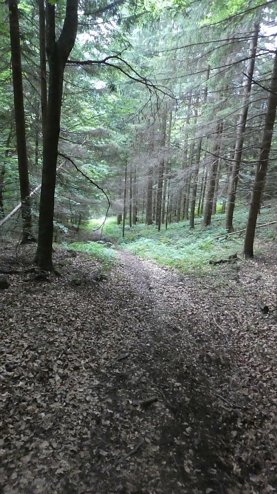 Zabarot-Jägersteig